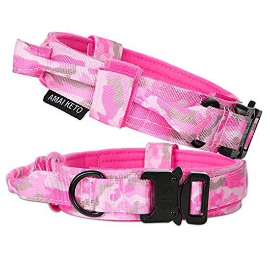 Girl dog outlet collars