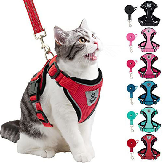 Pupteck escape proof cat harness 2024 with leash