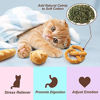 Picture of Bread Catnip Toys Kitten Interactive Toys for Cat Lover Gifts Kitty Chew Bite Kick Toys Supplies Baguette Croissant Pretzel Toast Bun Cinnamon Roll Plush Catmint Pet Presents Set of 6