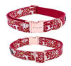 Picture of ARING PET Dog Collar with Flower, Dog Collar with Removable Flower, Adorable and Adjustable Christmas Dog Collar for Boy and Girl Dogs.