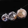 Picture of Yeelan Clear Plastic Acrylic Fillable Ball Ornament Set of 20Pcs