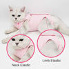 Picture of Cat Professional Recovery Suit for Abdominal Wounds or Skin Diseases, E-Collar Alternative for Cats and Dogs, After Surgery Wear, Home Clothing (M, Pink)