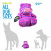 Picture of Hero Chuckles, Hippo Plush Dog Toy, Durable Stuffed Animal with 3-in-1 Squeaker