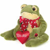 Picture of Bearington Charming Valentines Plush Stuffed Animal Kissing Frog with Heart 10"