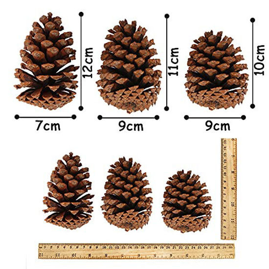 JOHOUSE 3.5-5Inch Natural Pine Cones, Large Pinecone,Christmas Natural  Pinecone Ornaments Big Pinecones for Autumn and Winter Decor Christmas