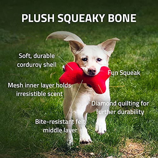 Picture of PLAYOLOGY Plush - Squeaky Bone - Medium - Engaging All-Natural Beef Scent