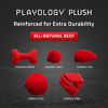 Picture of PLAYOLOGY Plush - Squeaky Bone - Medium - Engaging All-Natural Beef Scent