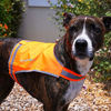 Picture of SafetyPUP XD Lite Dog Vest. Coverage to Mid Back. Reflective Hi Visibility Blaze Orange Fluorescent Fabric Helps to Keep Them in Sight and Safe On and Off Leash.