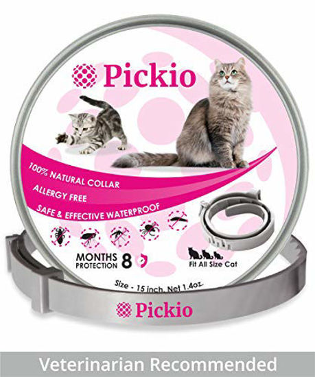 Safe cat best sale flea collars