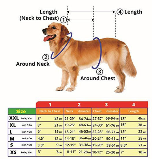 Picture of Dog Safety Reflective Vest Hunting Waterproof Orange Vest for Best Visibility at Day and Night with Clasp, Connectors Comfortable Adjustable Size, Orange Color (Orange, XXL)