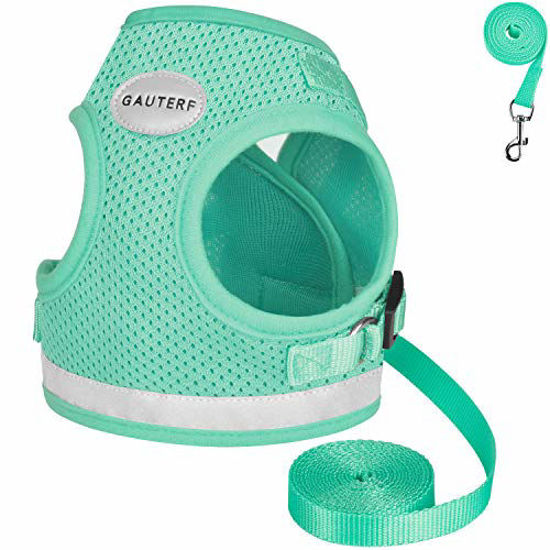 Gauterf 2024 cat harness