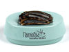 Picture of Bobby Pin and Hair Clip Magnetic Holder: HairpinPal (Sea Foam Teal)