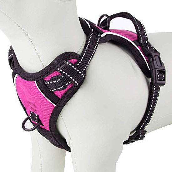 Picture of PHOEPET No Pull Dog Harnesses for Small Puppies Reflective Adjustable Front Clip Vest with 2 Metal Leash Attachment Hooks Soft Handle(XS, Pink)