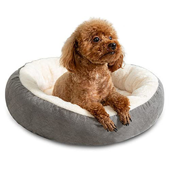 https://www.getuscart.com/images/thumbs/0920041_tail-stories-round-donut-cat-and-dog-cushion-bed-cat-beds-for-indoor-cats-machine-washable-luxury-do_550.jpeg