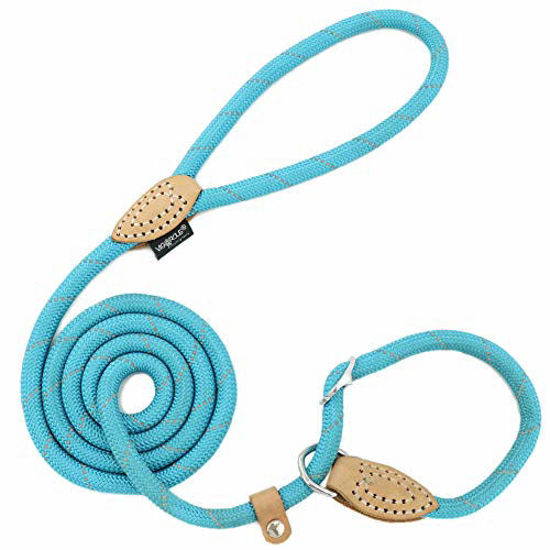 Mountain dog hotsell slip leash