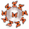 Picture of Butterfly Wall Decals 3D Butterflies Removable Mural Stickers Wall Stickers Art Decal for Home Decorations Kids Room Bedroom Nursery Decor