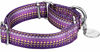 Picture of Dazzber Martingale Collar Dog Collar No Pull Pet Collar Heavy Duty Dog Martingale Collars Silky Soft with Unique Pattern for Medium and Large Dogs (Large, 1 Inch Wide, Dark Purple & Yellow)