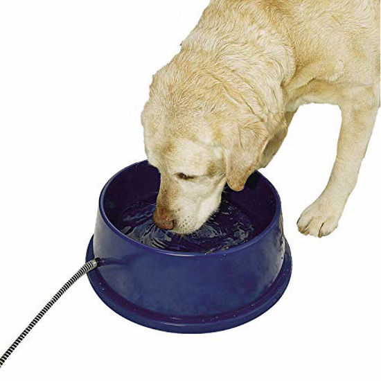 Picture of K&H Pet Products 2010 Thermal-Bowl Heated Cat & Dog Bowl 96oz., Blue 25W