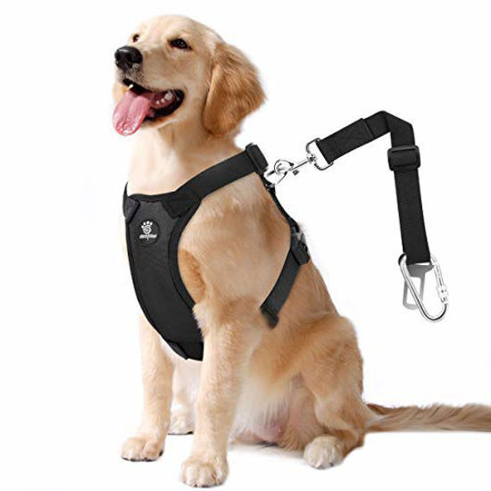 Dog safety leash shop car seat belt