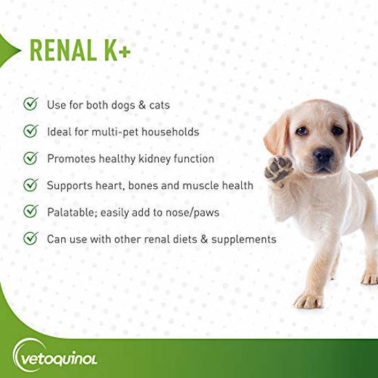 Picture of Vetoquinol Renal K+ (Potassium Gluconate) Potassium Supplement Gel for Dogs and Cats, 5oz