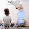 Picture of Kuoser Recovery Suit for Dogs Cats After Surgery, Professional Pet Recovery Shirt Dog Abdominal Wounds Bandages, Substitute E-Collar & Cone,Prevent Licking Dog Onesies Pet Surgery Recovery Suit L