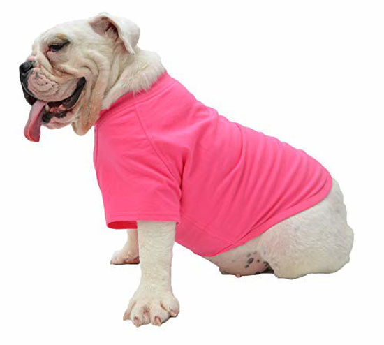 American top bulldog clothes