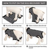 Picture of SAWMONG Recovery Suit for Dog, Dog Recovery Shirt for Abdominal Wounds, Pet Surgery Surgical Recovery Snugly Suit, Prevent Licking Dog Bodysuit, Substitute E-Collar & Cone