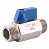 Picture of DERNORD Stainless Steel Ball Valve - 1/2 Inch NPT Thread Male Small Mini Ball Valve (1/2" Male&Male)