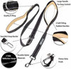 Picture of PoyPet 5 Feet Dog Leash - Reflective - 2 Cushioned Handles - Functional Car Seat Belt (Khaki)