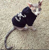 Picture of EXPAWLORER Black L Bad to The Bone Printed Skull Cat Fleece Sweatshirt Dog Hoodies