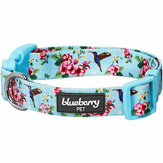 Picture of Blueberry Pet 2021 New Spring Scent Inspired Flower and Hummingbird Adjustable Dog Collar, Sky Blue, Small, Neck 12"-16"