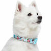 Picture of Blueberry Pet 2021 New Spring Scent Inspired Flower and Hummingbird Adjustable Dog Collar, Sky Blue, Small, Neck 12"-16"