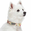 Picture of Blueberry Pet 2021 New Spring Scent Inspired Flower and Hummingbird Adjustable Dog Collar, Lemon Chiffon, Large, Neck 18"-26"