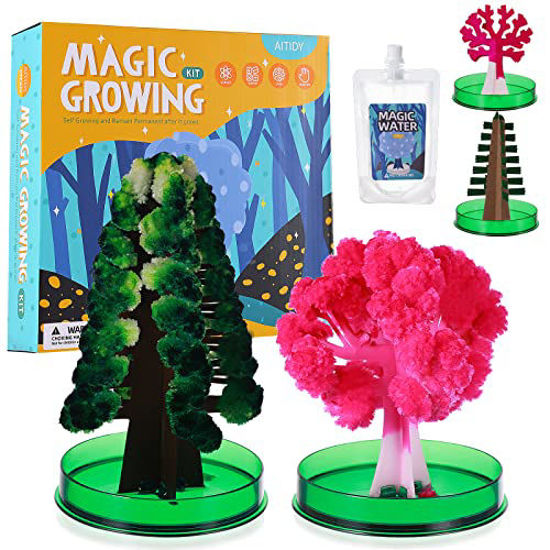 Magic Tree Crystal Growing Kit