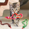 Picture of Snake Catnip Toys Kitten Supplies Interactive Catnip Toys for Indoor Cats Snakes Cat Toy Gift for Cat Lovers Dental Health Chew Toy Set of 3