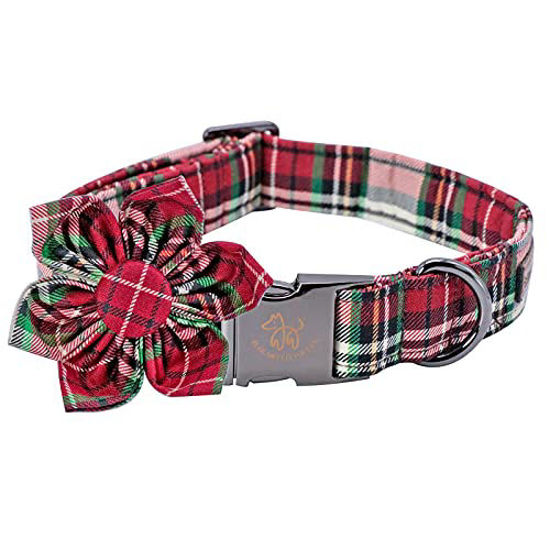 Male dog hot sale collars