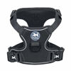 Picture of PoyPet Reflective Soft Breathable Mesh Dog Harness Choke-Free Double Padded Vest with Adjustable Neck and Chest(Black,XL)