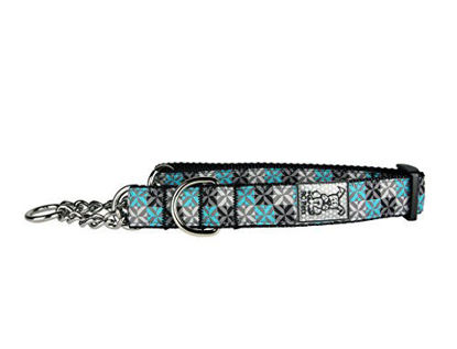 Picture of RC Pet Products 1" Training Martingale Dog Collar, XLarge, X-Factor