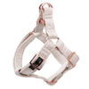 Picture of ARING PET Dog Halter Harness, Velvet Dog Harness, Adjustable No Pull White Dogs Halter Harness.