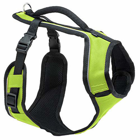 Picture of PetSafe EasySport Dog Harness, Adjustable Padded Dog Harness with Control Handle and Reflective Piping, From the Makers of the Easy Walk Harness