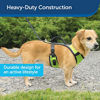 Picture of PetSafe EasySport Dog Harness, Adjustable Padded Dog Harness with Control Handle and Reflective Piping, From the Makers of the Easy Walk Harness