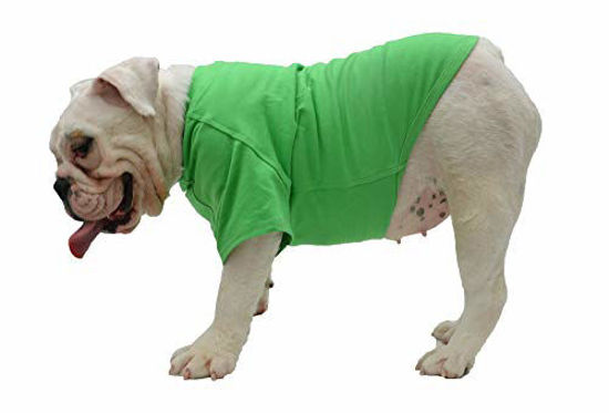 American top bulldog clothes