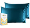 Picture of Pure Cotton Pillow Cover Set - Smooth 400 Thread Count, Blue King Size 2 Piece Pillow Case Set, Comfortable Sateen Weave Pillow Cases