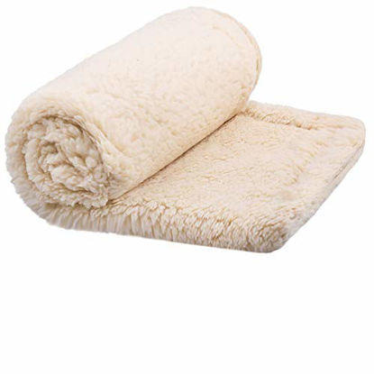 Picture of furrybaby Premium Fluffy Fleece Dog Blanket, Soft and Warm Pet Throw for Dogs & Cats (Large (4047"), Beige Double-Layer Blanket)