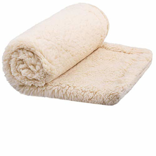 Furrybaby dog outlet blanket