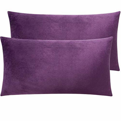 Picture of NTBAY Zippered Velvet King Pillowcases, 2 Pack Super Soft and Cozy Luxury Solid Color Pillow Cases, 20 x 36 Inches, Purple