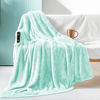 Picture of Exclusivo Mezcla Plush Fuzzy Large Fleece Throw Blanket (50" x 70", Mint Green)- Soft, Warm& Lightweight