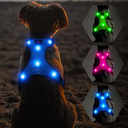 Picture of Flashseen LED Dog Harness, Lighted Up USB Rechargeable Pet Harness, Illuminated Reflective Glowing Dog Vest Adjustable Soft Padded No-Pull Suit for Small, Medium, Large Dogs (Blue, S)