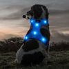 Picture of Flashseen LED Dog Harness, Lighted Up USB Rechargeable Pet Harness, Illuminated Reflective Glowing Dog Vest Adjustable Soft Padded No-Pull Suit for Small, Medium, Large Dogs (Blue, S)