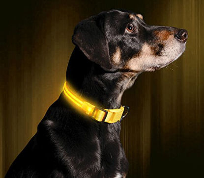 Picture of ILLUMISEEN LED Dog Collar USB Rechargeable - Bright & High Visibility Lighted Glow Collar for Pet Night Walking - Weatherproof, in 6 Colors & 6 Sizes (Yellow Large)